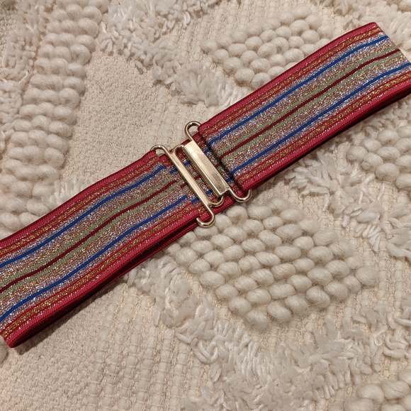 Express Metallic Mutli-color Stretchy Belt - Picture 3 of 6